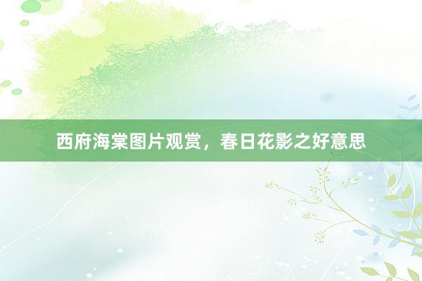 西府海棠图片观赏，春日花影之好意思