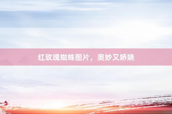 红玫瑰蜘蛛图片，奥妙又娇娆