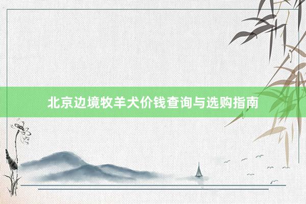 北京边境牧羊犬价钱查询与选购指南