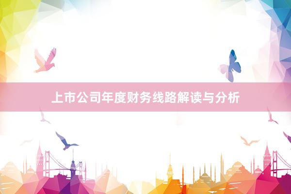 上市公司年度财务线路解读与分析