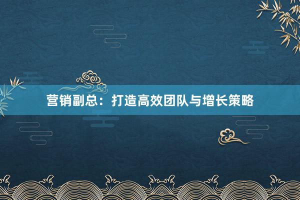 营销副总：打造高效团队与增长策略