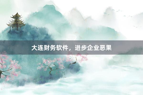 大连财务软件，进步企业恶果